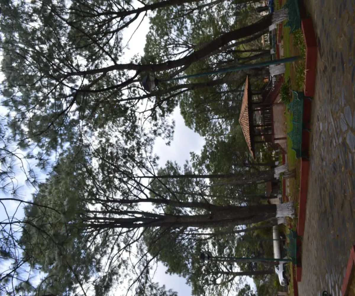 Casa En Venta,Lomas Verdes,Fraccionamiento Lomas Verdes S/N, Mazamitla, Jalisco 49500, 2 Habitaciones,2 Baños,Fraccionamiento Lomas Verdes,2,p7NcAas