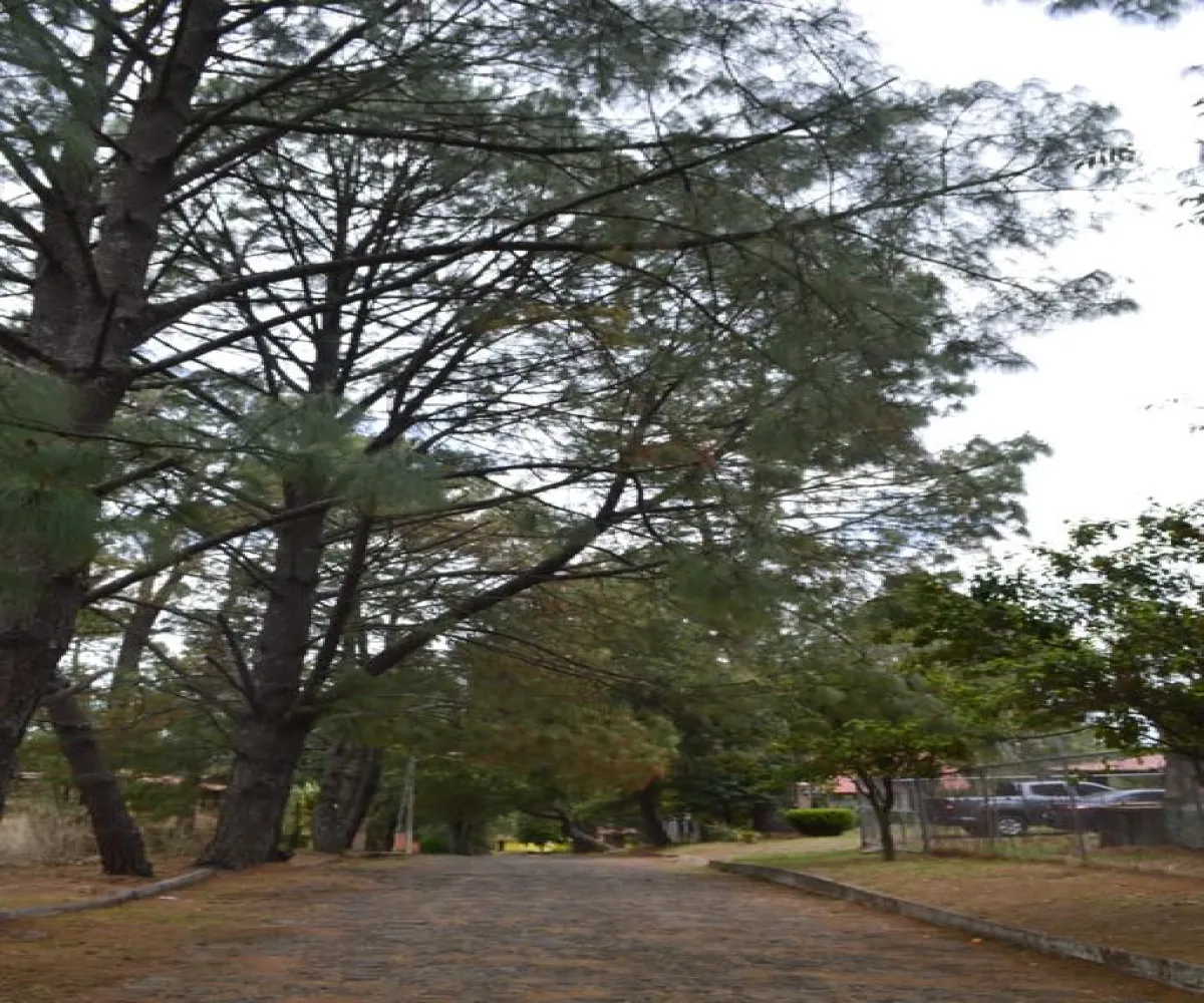 Casa En Venta,Lomas Verdes,Fraccionamiento Lomas Verdes S/N, Mazamitla, Jalisco 49500, 2 Habitaciones,2 Baños,Fraccionamiento Lomas Verdes,2,p7NcAas