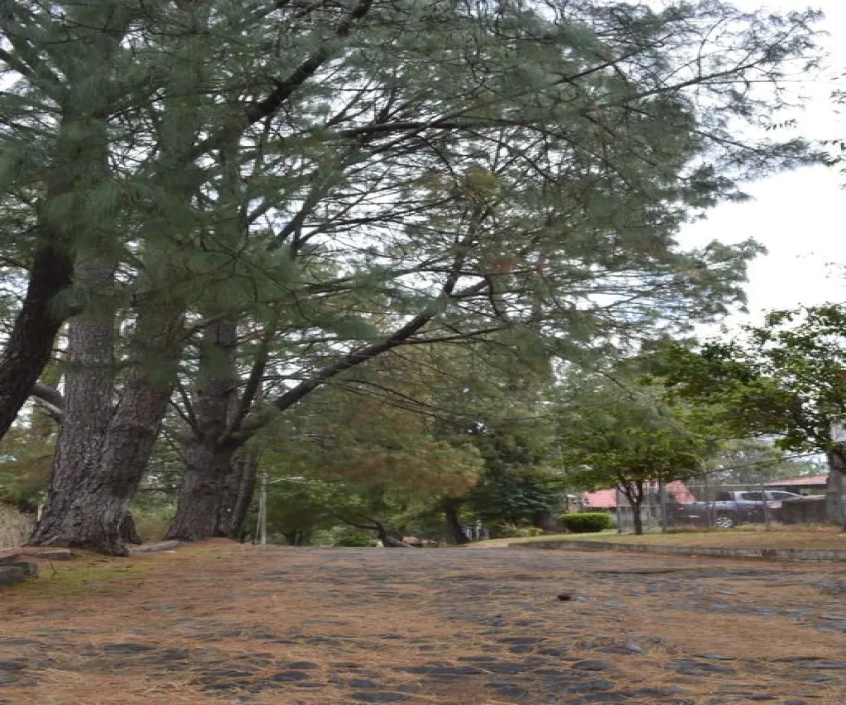 Casa En Venta,Lomas Verdes,Fraccionamiento Lomas Verdes S/N, Mazamitla, Jalisco 49500, 2 Habitaciones,2 Baños,Fraccionamiento Lomas Verdes,2,p7NcAas