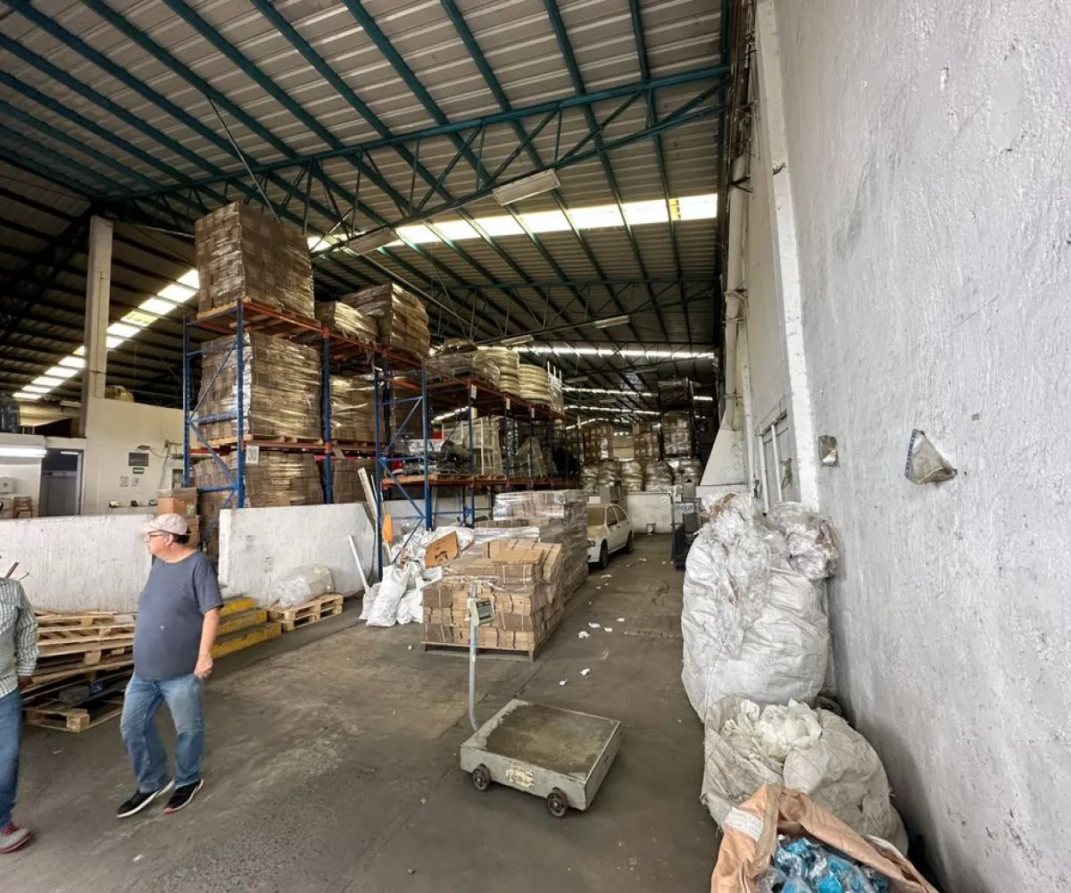 Bodega En Renta,El Rosario,Calle Río Juárez 1653, Guadalajara, Jalisco 44898,Calle Río Juárez,1,p5EhByP