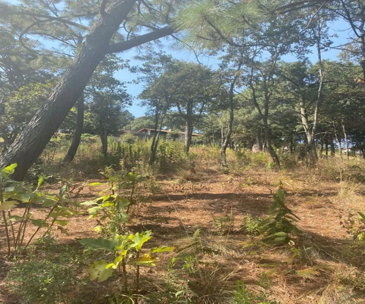 Terreno En Venta,Mazamitla,Privada de la ecología 05, Mazamitla, Jalisco,Privada de la ecología,pL2C96Y