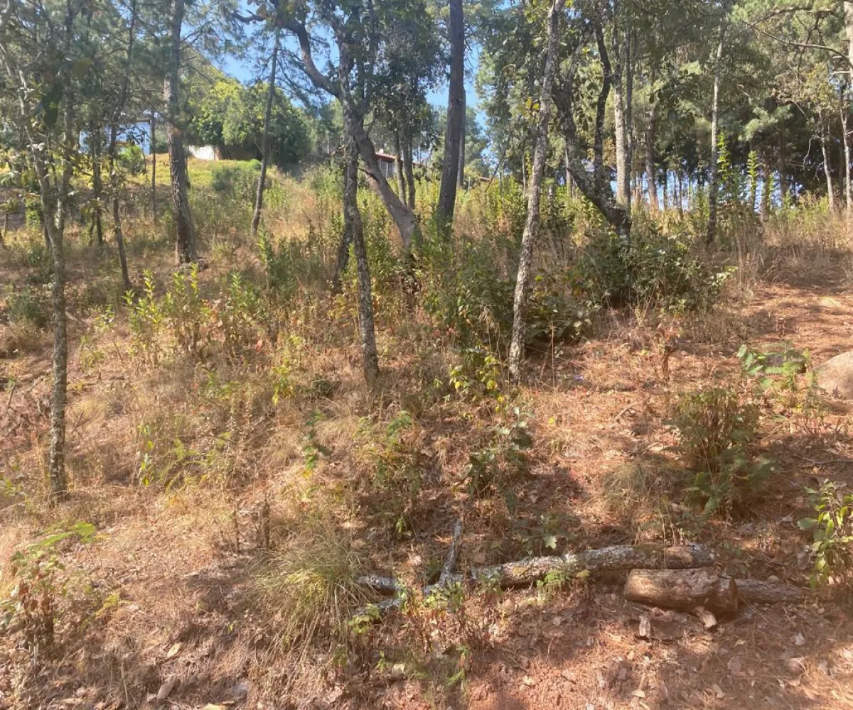 Terreno En Venta,Mazamitla,Privada de la ecología 05, Mazamitla, Jalisco,Privada de la ecología,pL2C96Y