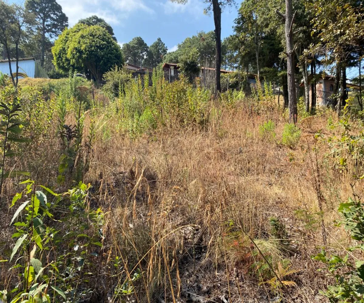 Terreno En Venta,Mazamitla,Privada de la ecología 05, Mazamitla, Jalisco,Privada de la ecología,pL2C96Y