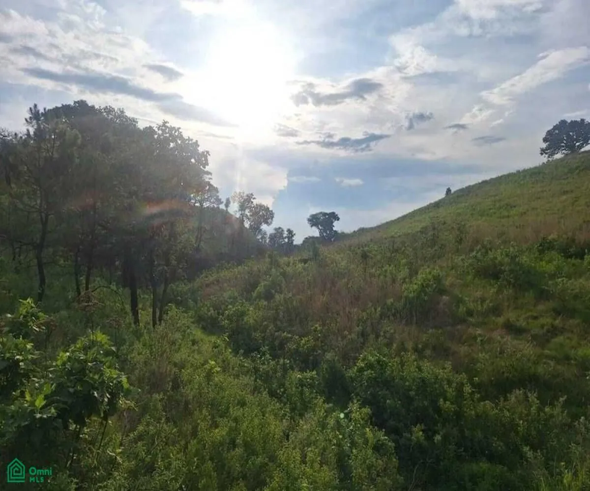 Terreno En Venta,La Primavera,La Primavera S/N, Zapopan, Jalisco 45226,La Primavera,MX25996169