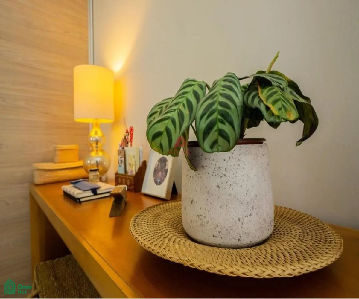 Casa En Venta,Ciudad Granja,CIUDAD GRANJA S/N, Zapopan, Jalisco 45010, 3 Habitaciones,2 Baños,CIUDAD GRANJA,MX25996234