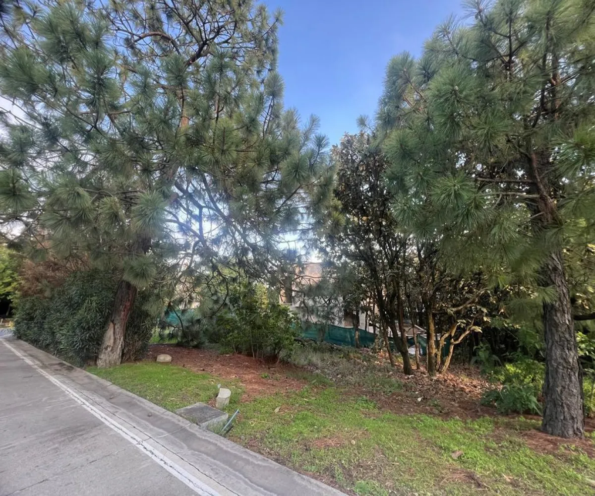 Terreno En Venta,El Palomar,PASEO DEL BOSQUE 525, Tlajomulco de Zúñiga, Jalisco 45643,PASEO DEL BOSQUE ,pNi0u5j