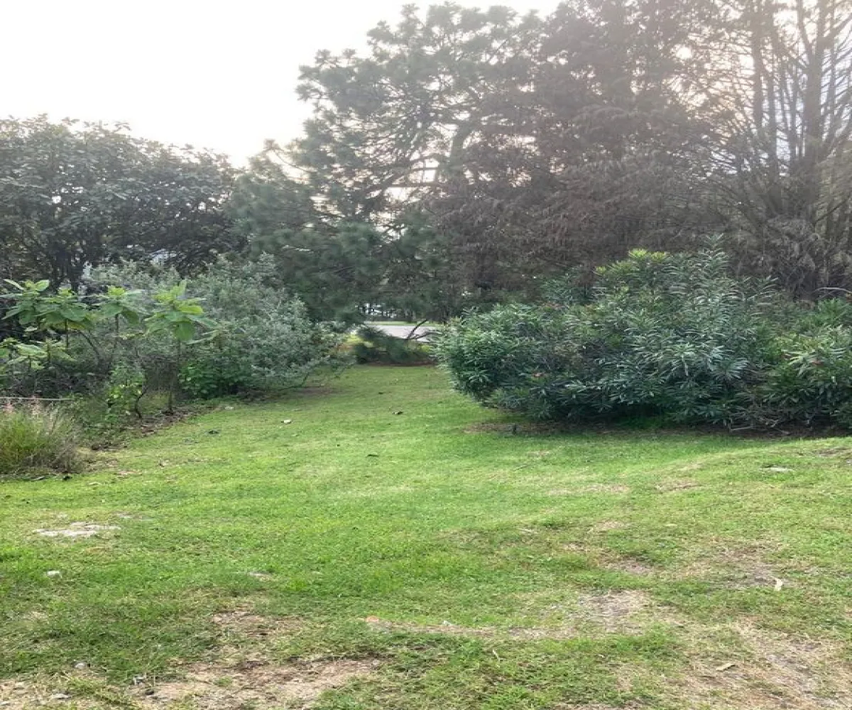 Terreno En Venta,El Palomar,PASEO DEL BOSQUE 525, Tlajomulco de Zúñiga, Jalisco 45643,PASEO DEL BOSQUE ,pNi0u5j