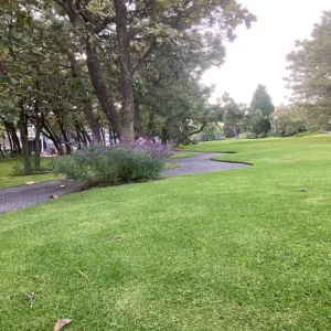 Terreno En Venta,El Palomar,PASEO DEL BOSQUE 525, Tlajomulco de Zúñiga, Jalisco 45643,PASEO DEL BOSQUE ,pNi0u5j