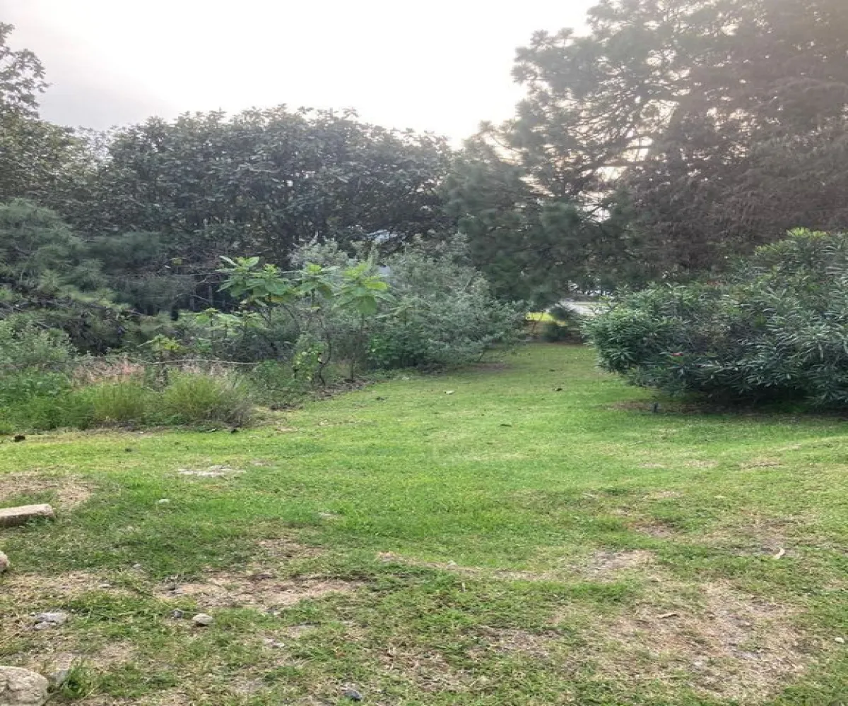 Terreno En Venta,El Palomar,PASEO DEL BOSQUE 525, Tlajomulco de Zúñiga, Jalisco 45643,PASEO DEL BOSQUE ,pNi0u5j