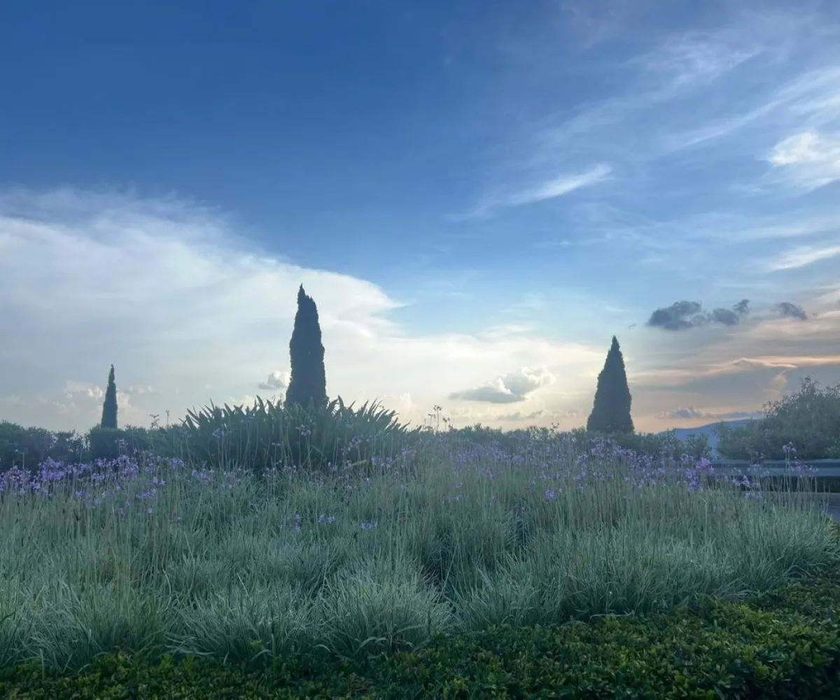 Terreno En Venta,El Palomar,PASEO DEL BOSQUE 525, Tlajomulco de Zúñiga, Jalisco 45643,PASEO DEL BOSQUE ,pNi0u5j