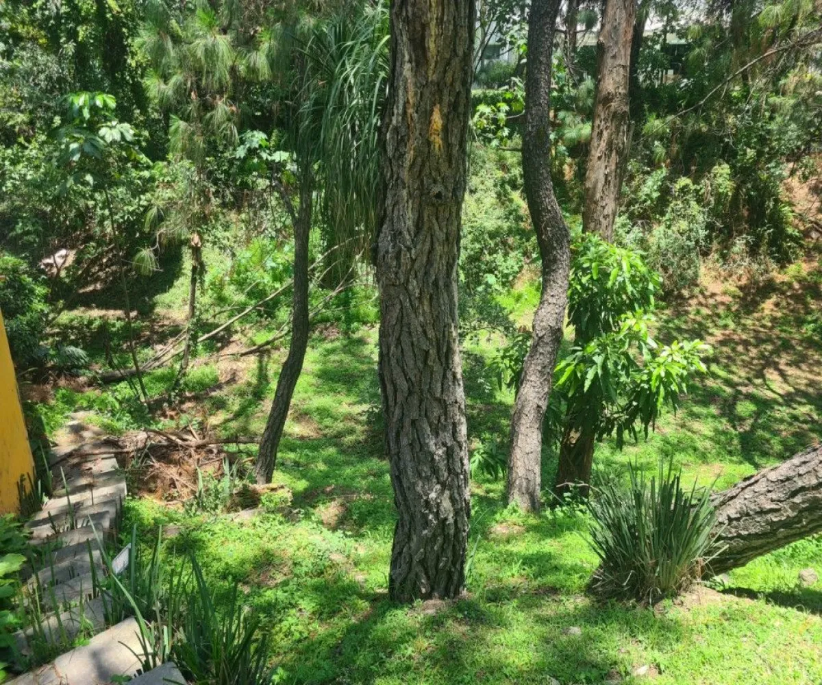 Casa En Venta,Puerta de Hierro,Extremadura S/N, Zapopan, Jalisco 45116, 3 Habitaciones,4 Baños,Extremadura,2,pMZL7q9