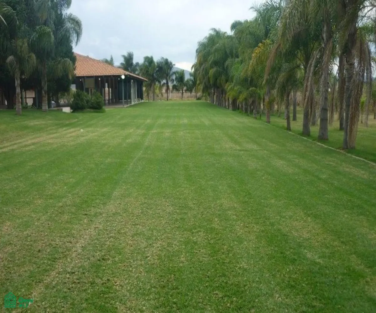 Edificio En Venta,Nextipac,TERRAZA ATARDECER LAR S/N, Zapopan, Jalisco 45220,TERRAZA ATARDECER LAR,MX25997064