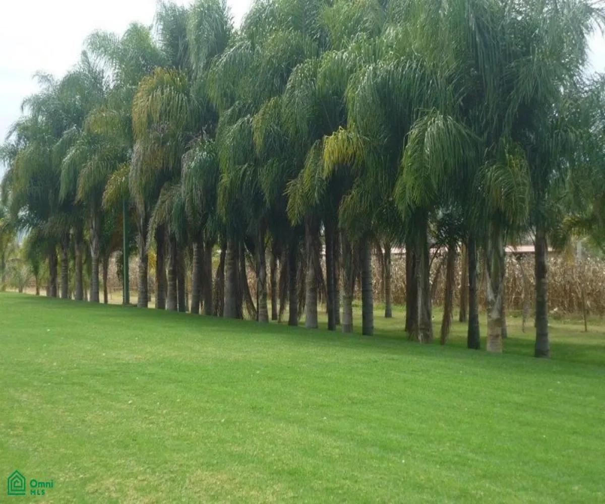 Edificio En Venta,Nextipac,TERRAZA ATARDECER LAR S/N, Zapopan, Jalisco 45220,TERRAZA ATARDECER LAR,MX25997064