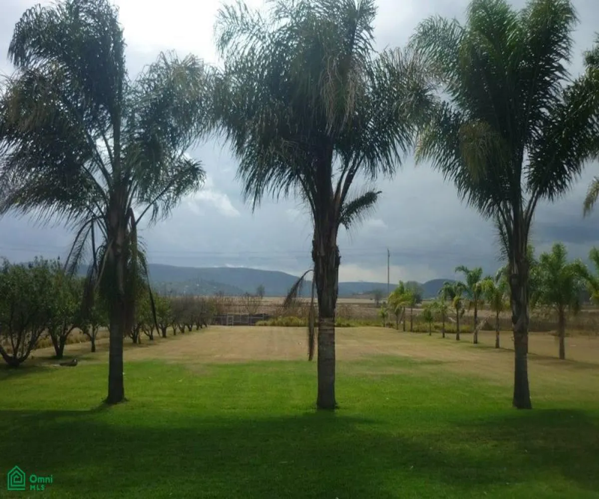 Edificio En Venta,Nextipac,TERRAZA ATARDECER LAR S/N, Zapopan, Jalisco 45220,TERRAZA ATARDECER LAR,MX25997064