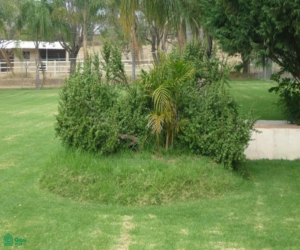 Edificio En Venta,Nextipac,TERRAZA ATARDECER LAR S/N, Zapopan, Jalisco 45220,TERRAZA ATARDECER LAR,MX25997064