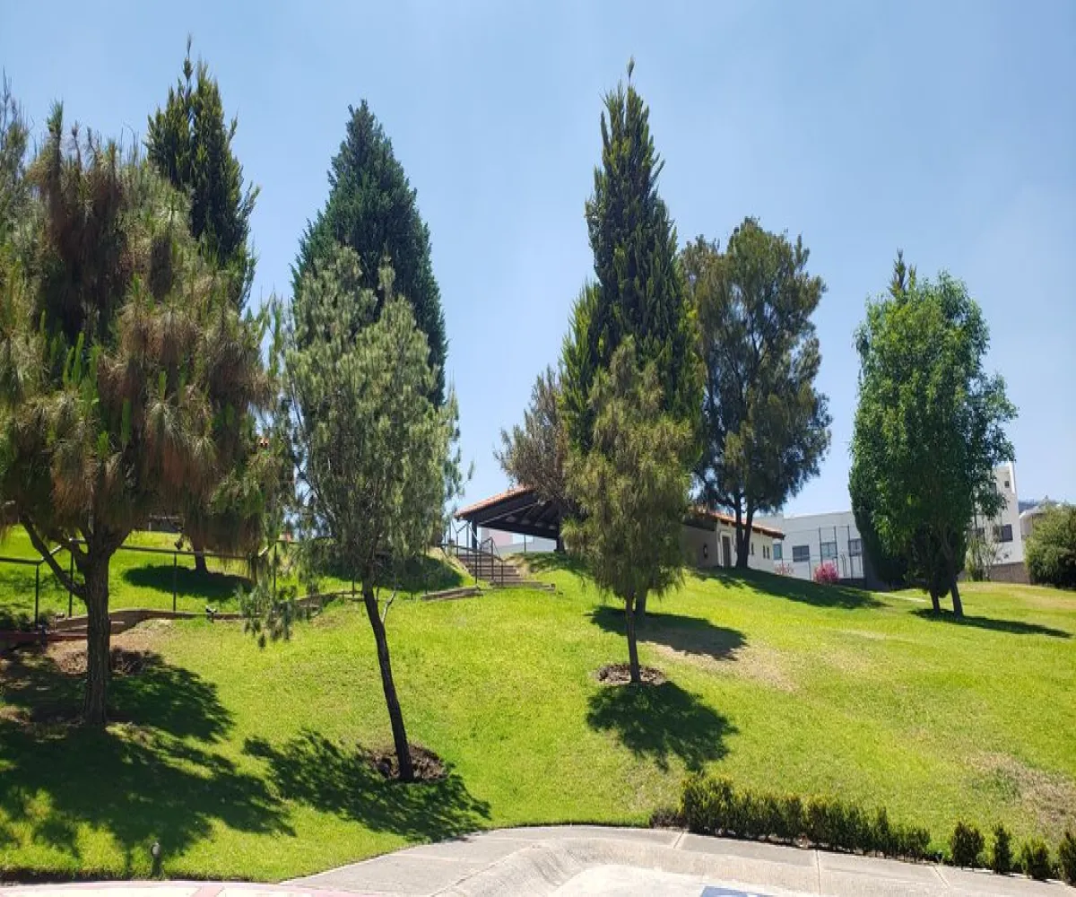Terreno En Venta,Bosques Santa Anita,blvd bosques sta anita S/N, Tlajomulco de Zúñiga, Jalisco 45645,blvd bosques sta anita,p5m4ltP Terreno En Venta,Bosques Santa Anita,blvd bosques sta anita S/N, Tlajomulco de Zúñiga, Jalisco 45645,blvd bosques sta anita,p5m4ltP