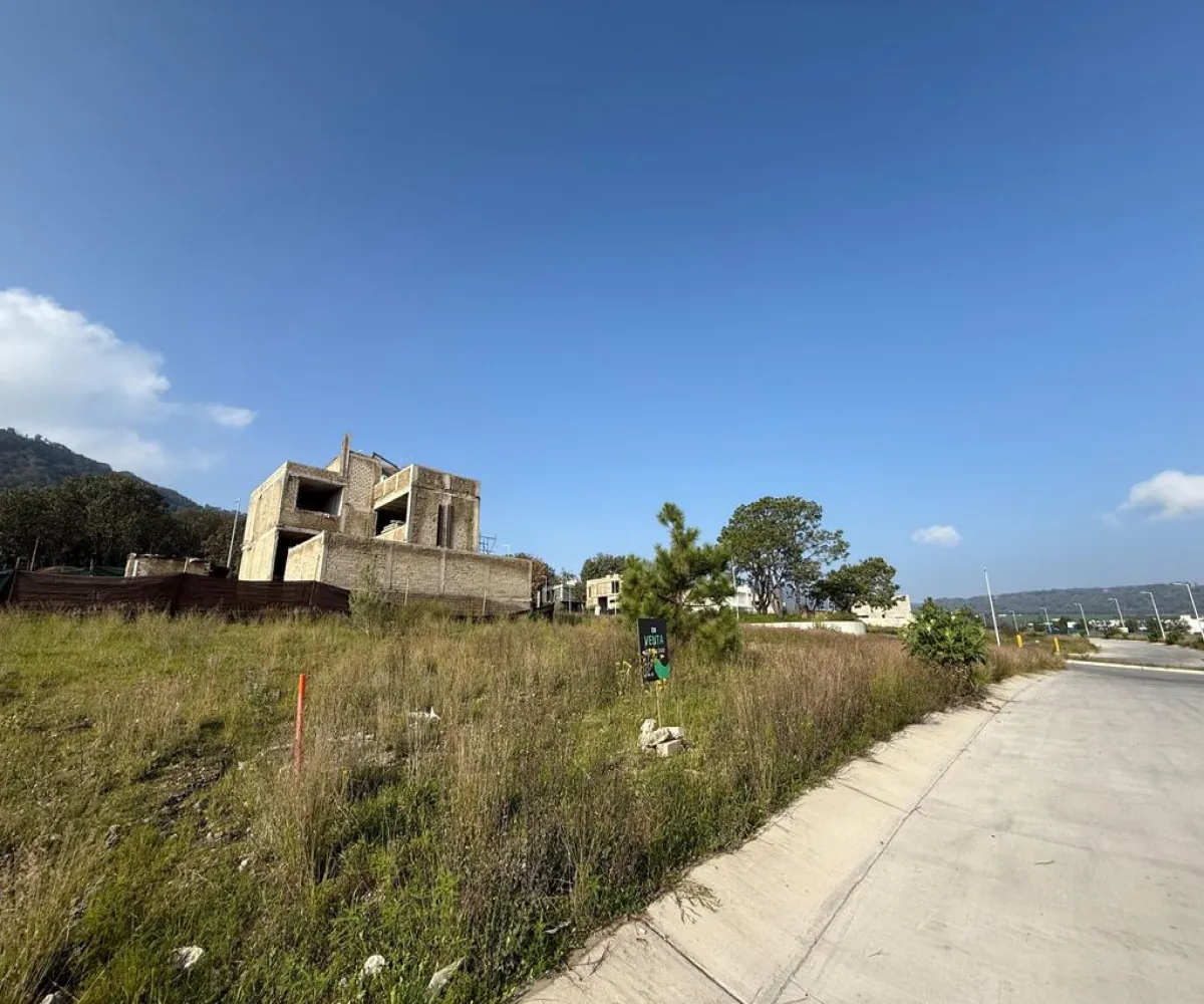 Terreno En Venta,Los Robles,Paseo de los Robles S/N, Zapopan, Jalisco 45057,Paseo de los Robles,pfzQqZ6