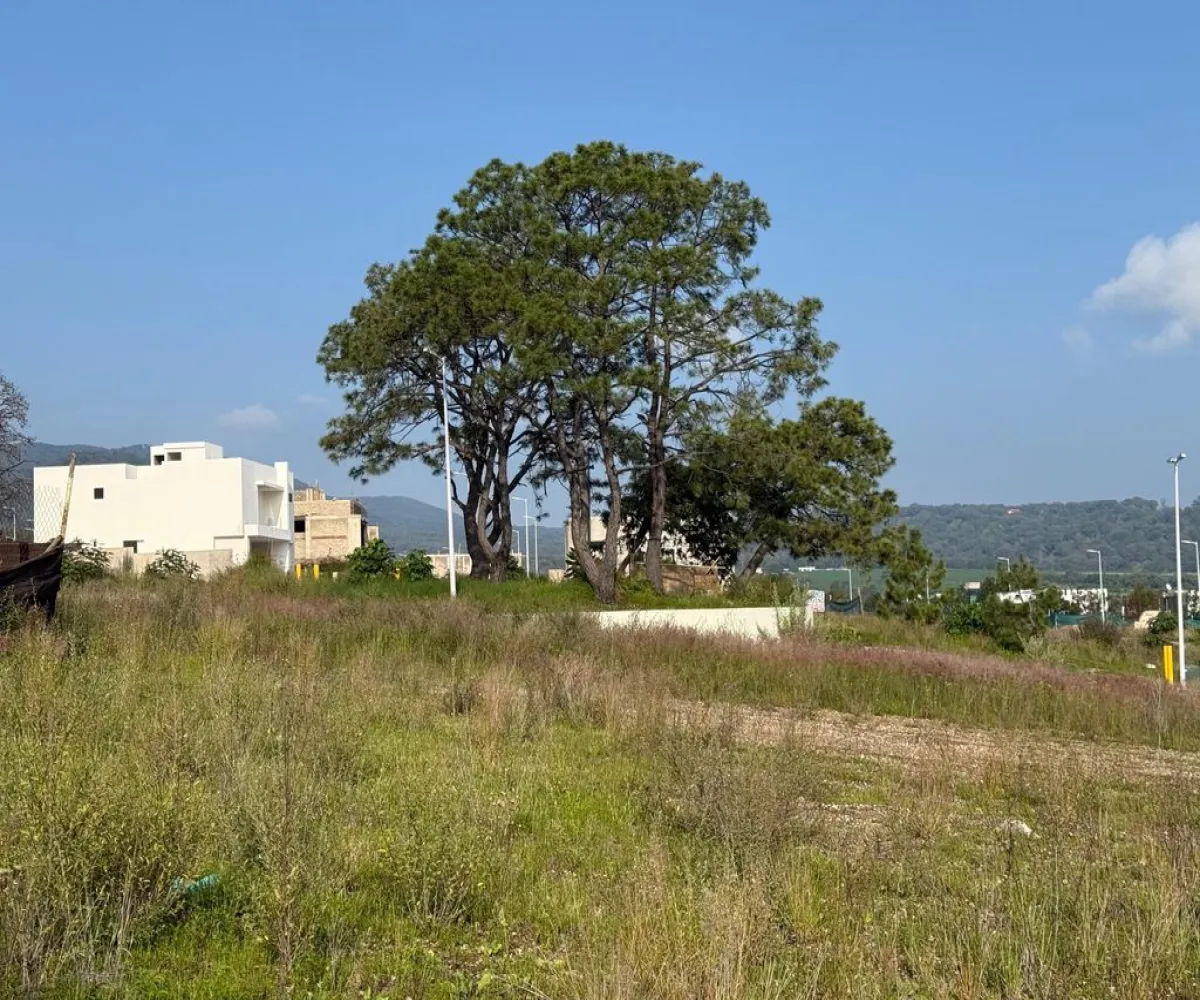 Terreno En Venta,Los Robles,Paseo de los Robles S/N, Zapopan, Jalisco 45057,Paseo de los Robles,pfzQqZ6