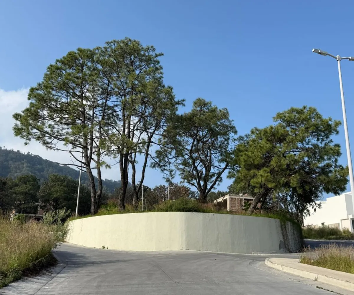 Terreno En Venta,Los Robles,Paseo de los Robles S/N, Zapopan, Jalisco 45057,Paseo de los Robles,pfzQqZ6