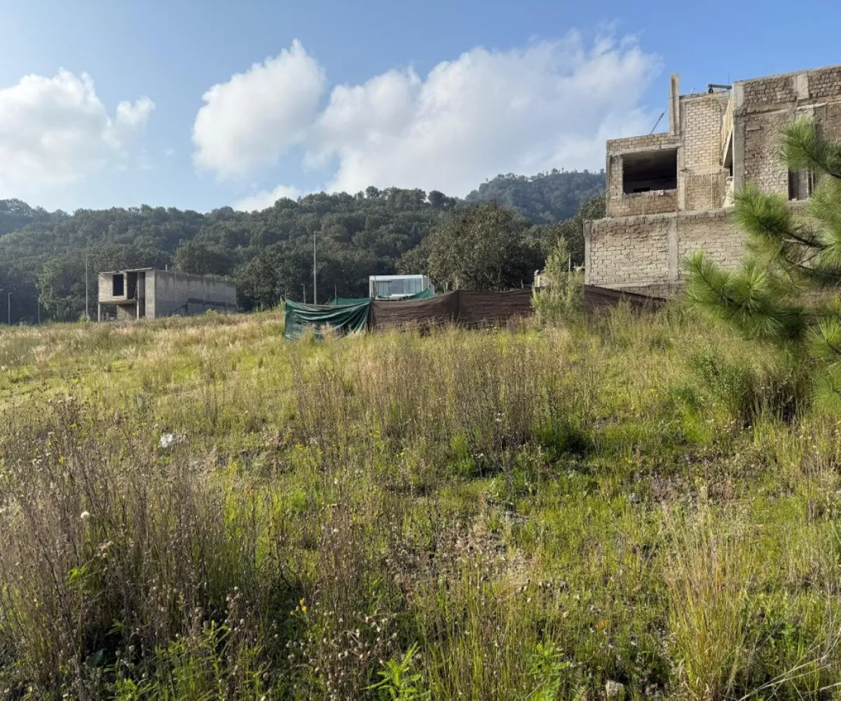 Terreno En Venta,Los Robles,Paseo de los Robles S/N, Zapopan, Jalisco 45057,Paseo de los Robles,pfzQqZ6