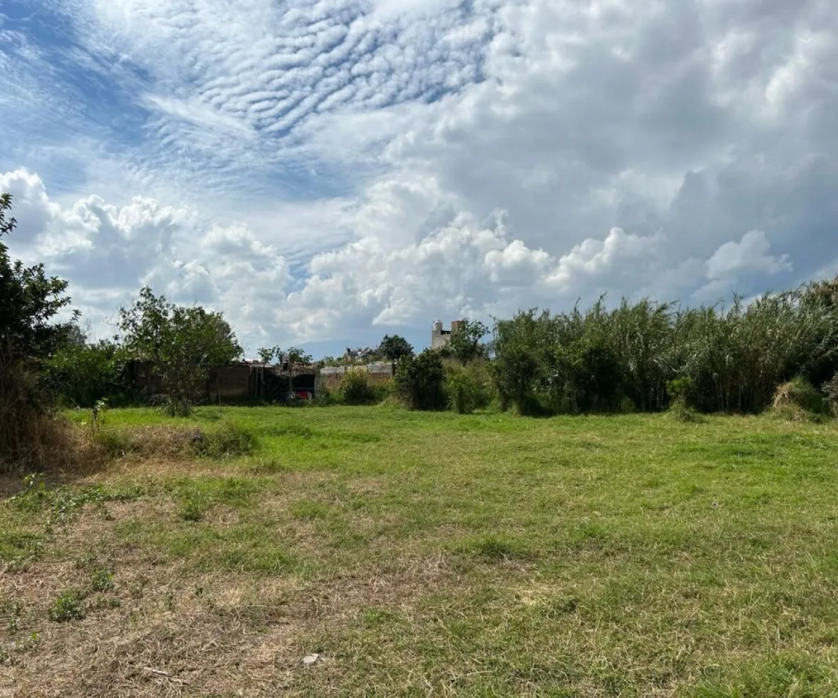 Terreno En Venta,Escritores,Jalisco 401 401, Zapotlán el Grande, Jalisco 49019,Jalisco 401,pF8Zg2T