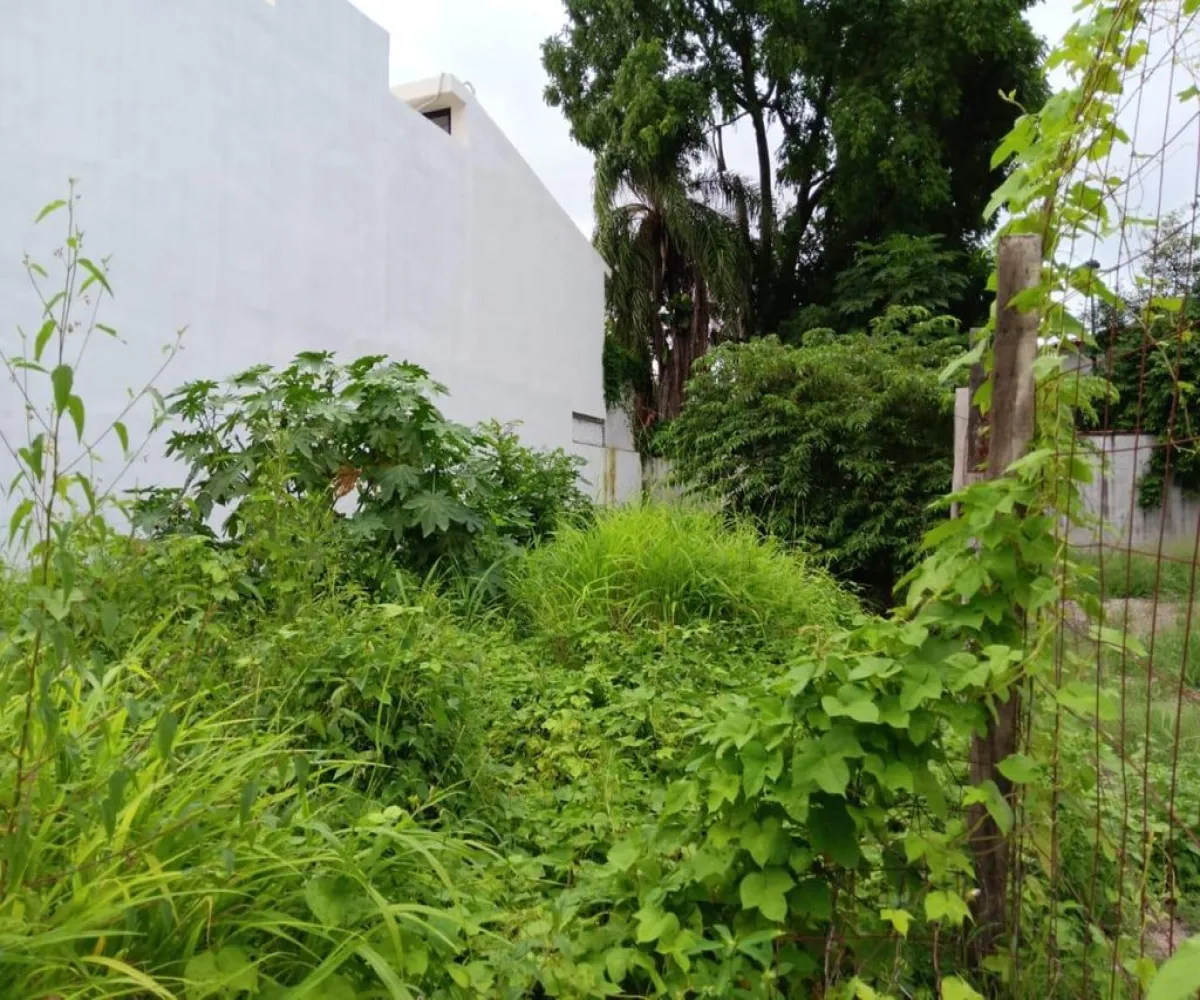 Terreno En Venta,Las Aralias,Av del Tordo S/N 34, Puerto Vallarta, Jalisco 48328,Av del Tordo,p1XiZYI