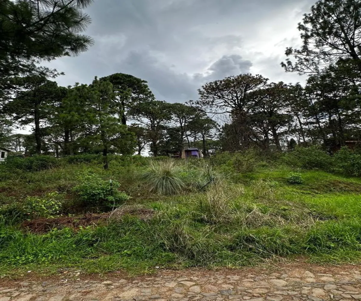 Terreno En Venta,La Prepa,Galeana 12, Mazamitla, Jalisco 49500,Galeana,pXk0dke