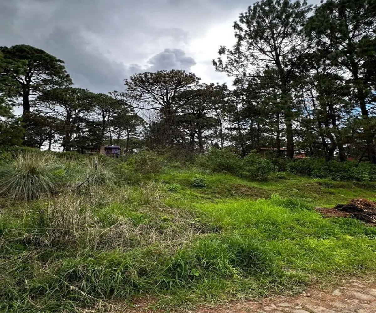 Terreno En Venta,La Prepa,Galeana 12, Mazamitla, Jalisco 49500,Galeana,pXk0dke