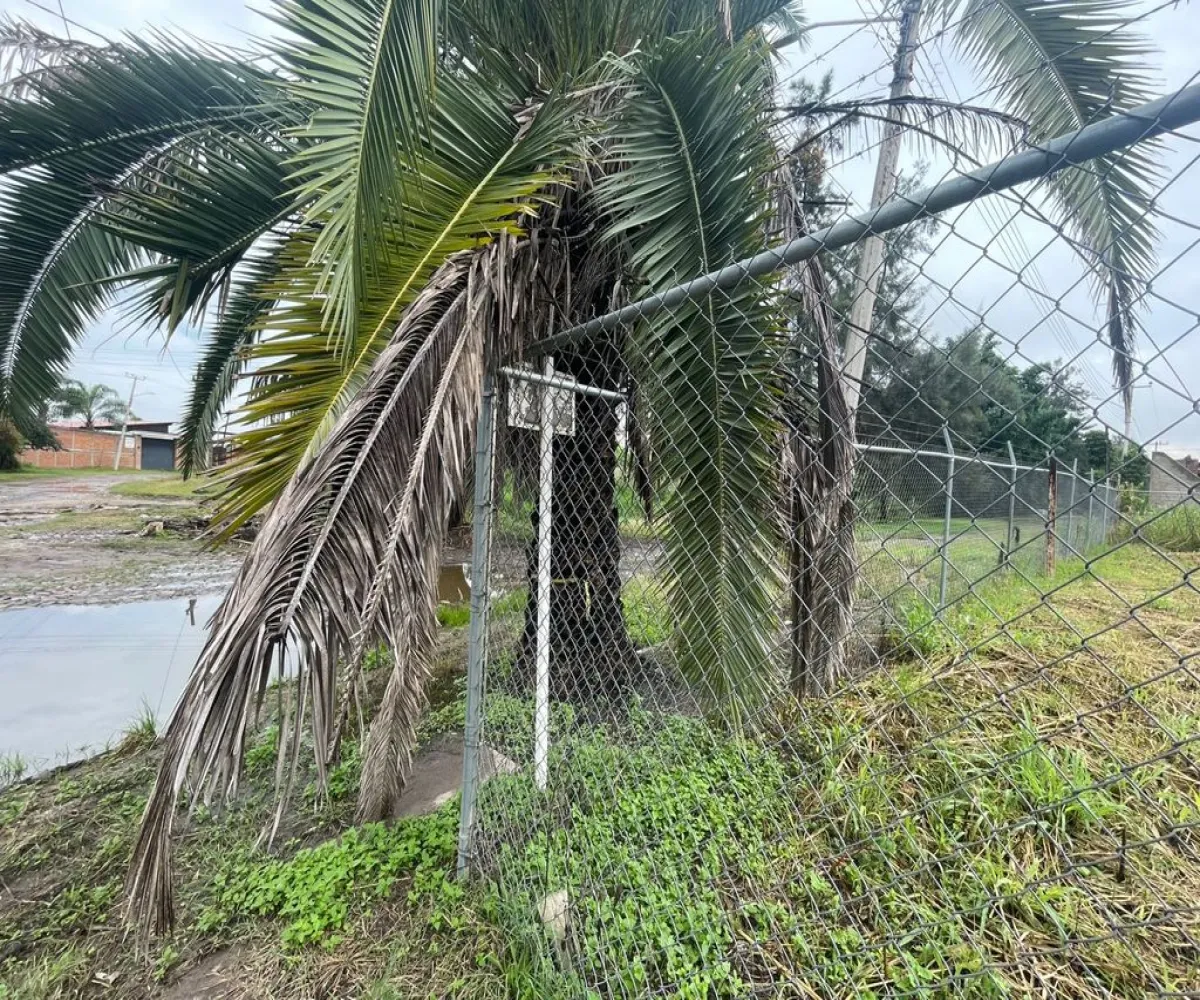 Terreno En Venta,los sauces,vereda del jazmin 19, Tlajomulco de Zúñiga, Jalisco 45650,vereda del jazmin,pZEuoa8 Terreno En Venta,los sauces,vereda del jazmin 19, Tlajomulco de Zúñiga, Jalisco 45650,vereda del jazmin,pZEuoa8