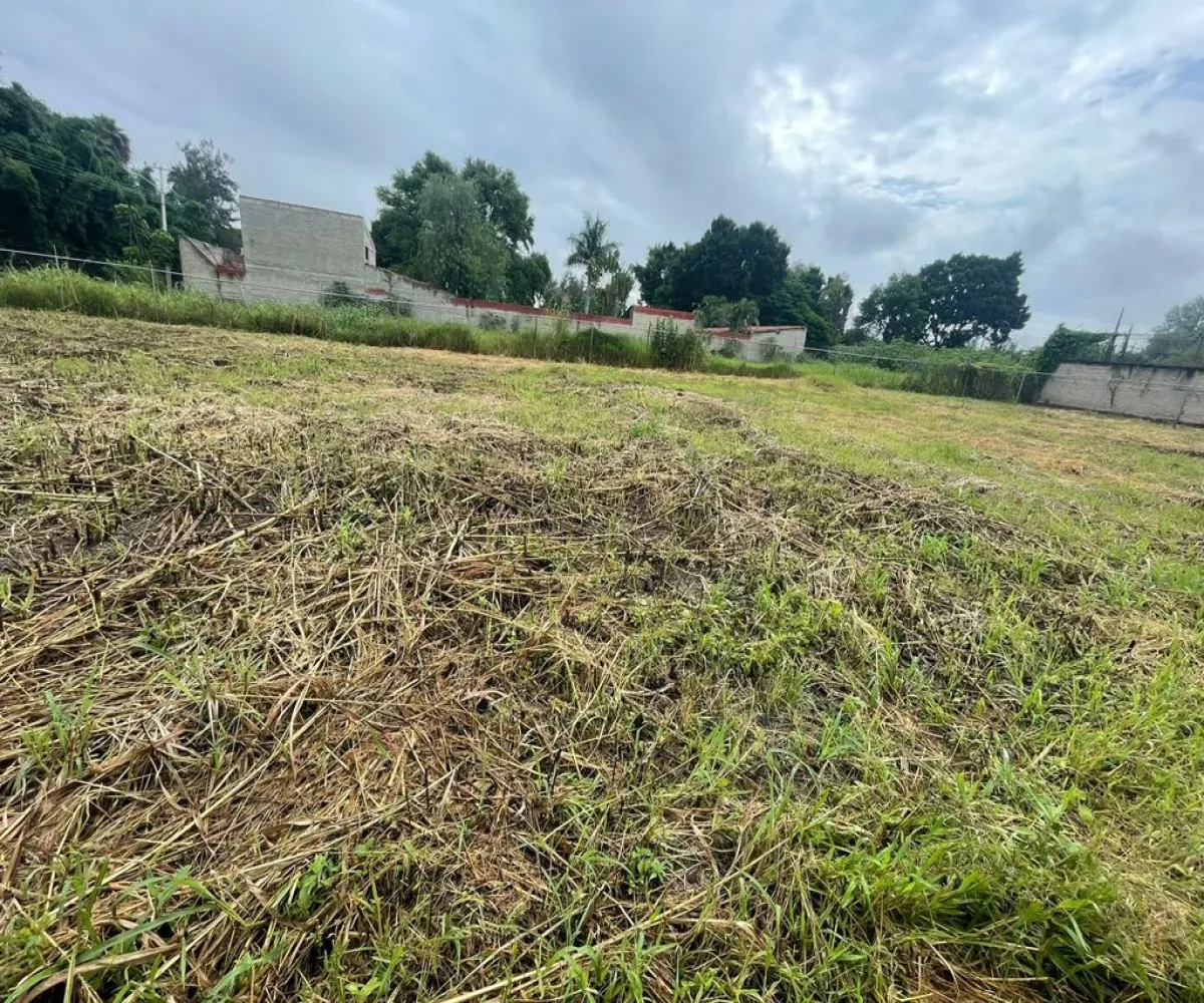 Terreno En Venta,los sauces,vereda del jazmin 19, Tlajomulco de Zúñiga, Jalisco 45650,vereda del jazmin,pZEuoa8 Terreno En Venta,los sauces,vereda del jazmin 19, Tlajomulco de Zúñiga, Jalisco 45650,vereda del jazmin,pZEuoa8