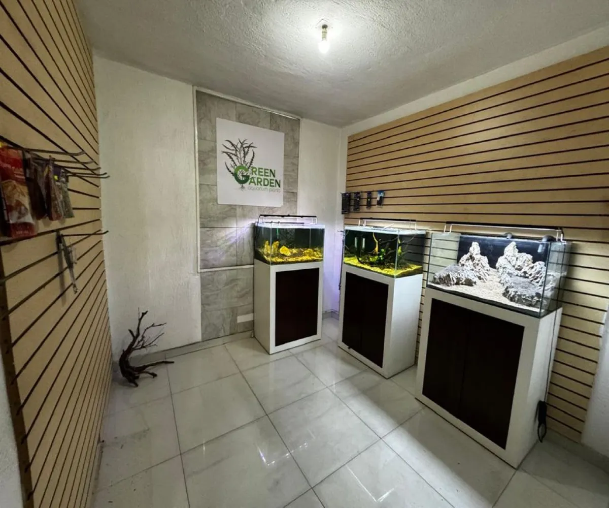 Casa En Venta,Arboledas,Avenida Mariano Otero 5669, Zapopan, Jalisco 45070, 3 Habitaciones,1 Baño,Avenida Mariano Otero,1,pIZrAKK Casa En Venta,Arboledas,Avenida Mariano Otero 5669, Zapopan, Jalisco 45070, 3 Habitaciones,1 Baño,Avenida Mariano Otero,1,pIZrAKK