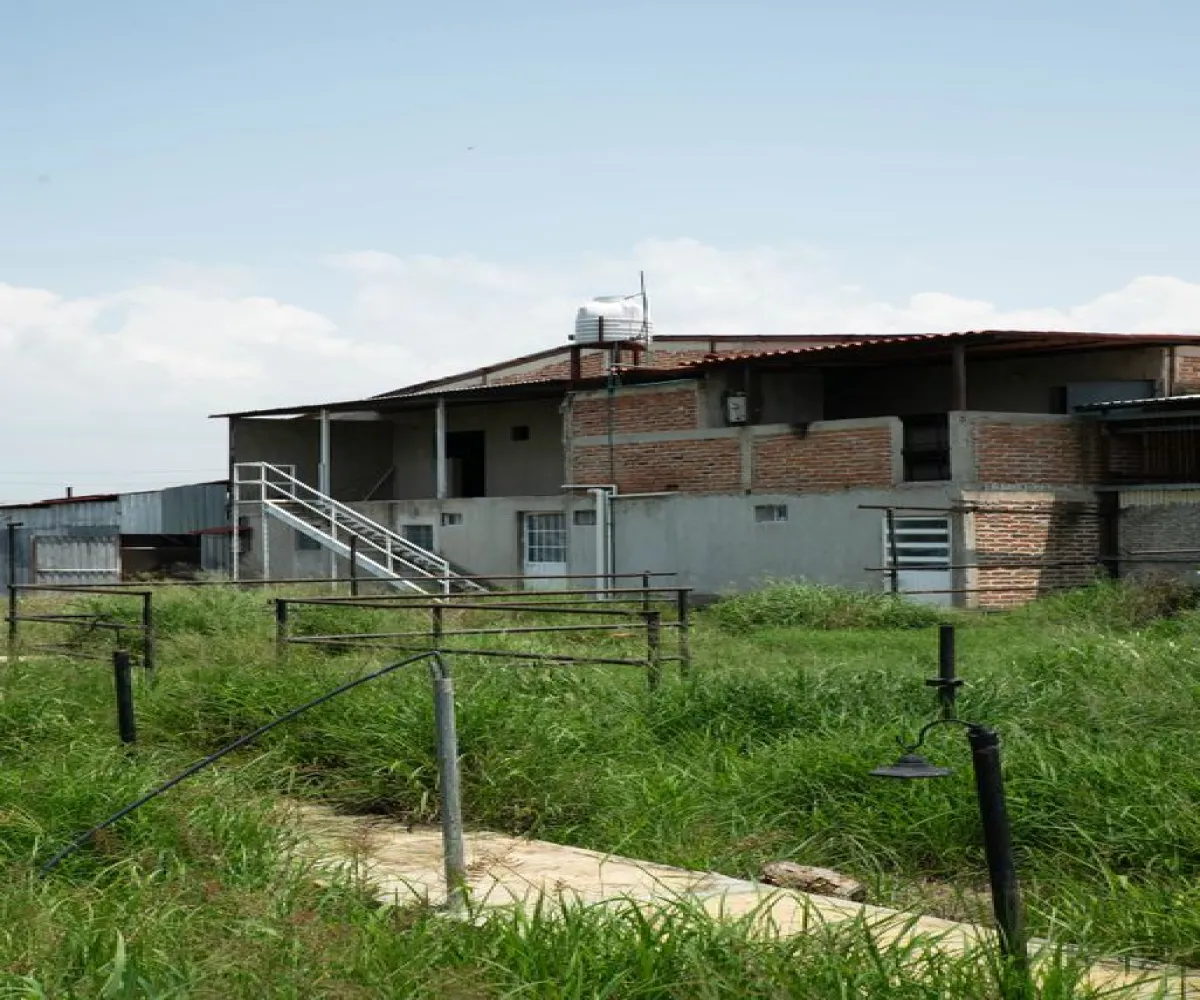 Bodega En Venta,Zacoalco de Torres Centro,Juárez S/N, Zacoalco de Torres, Jalisco 45753,3 Baños,Juárez,1,pjIt86A Bodega En Venta,Zacoalco de Torres Centro,Juárez S/N, Zacoalco de Torres, Jalisco 45753,3 Baños,Juárez,1,pjIt86A