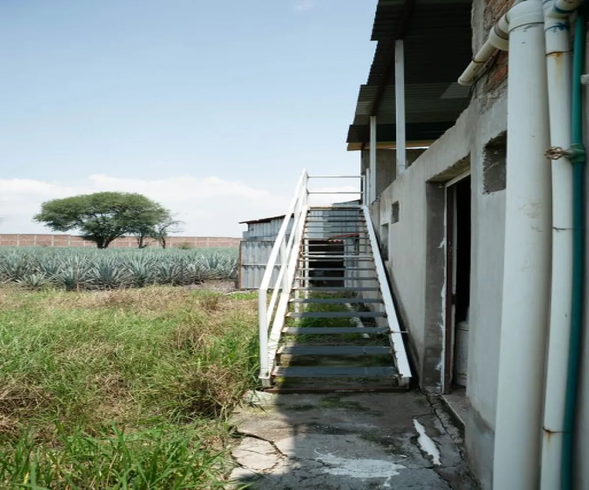 Bodega En Venta,Zacoalco de Torres Centro,Juárez S/N, Zacoalco de Torres, Jalisco 45753,3 Baños,Juárez,1,pjIt86A Bodega En Venta,Zacoalco de Torres Centro,Juárez S/N, Zacoalco de Torres, Jalisco 45753,3 Baños,Juárez,1,pjIt86A