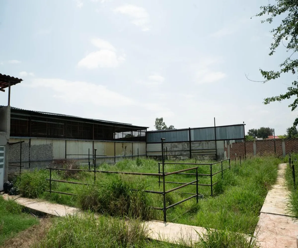 Bodega En Venta,Zacoalco de Torres Centro,Juárez S/N, Zacoalco de Torres, Jalisco 45753,3 Baños,Juárez,1,pjIt86A Bodega En Venta,Zacoalco de Torres Centro,Juárez S/N, Zacoalco de Torres, Jalisco 45753,3 Baños,Juárez,1,pjIt86A