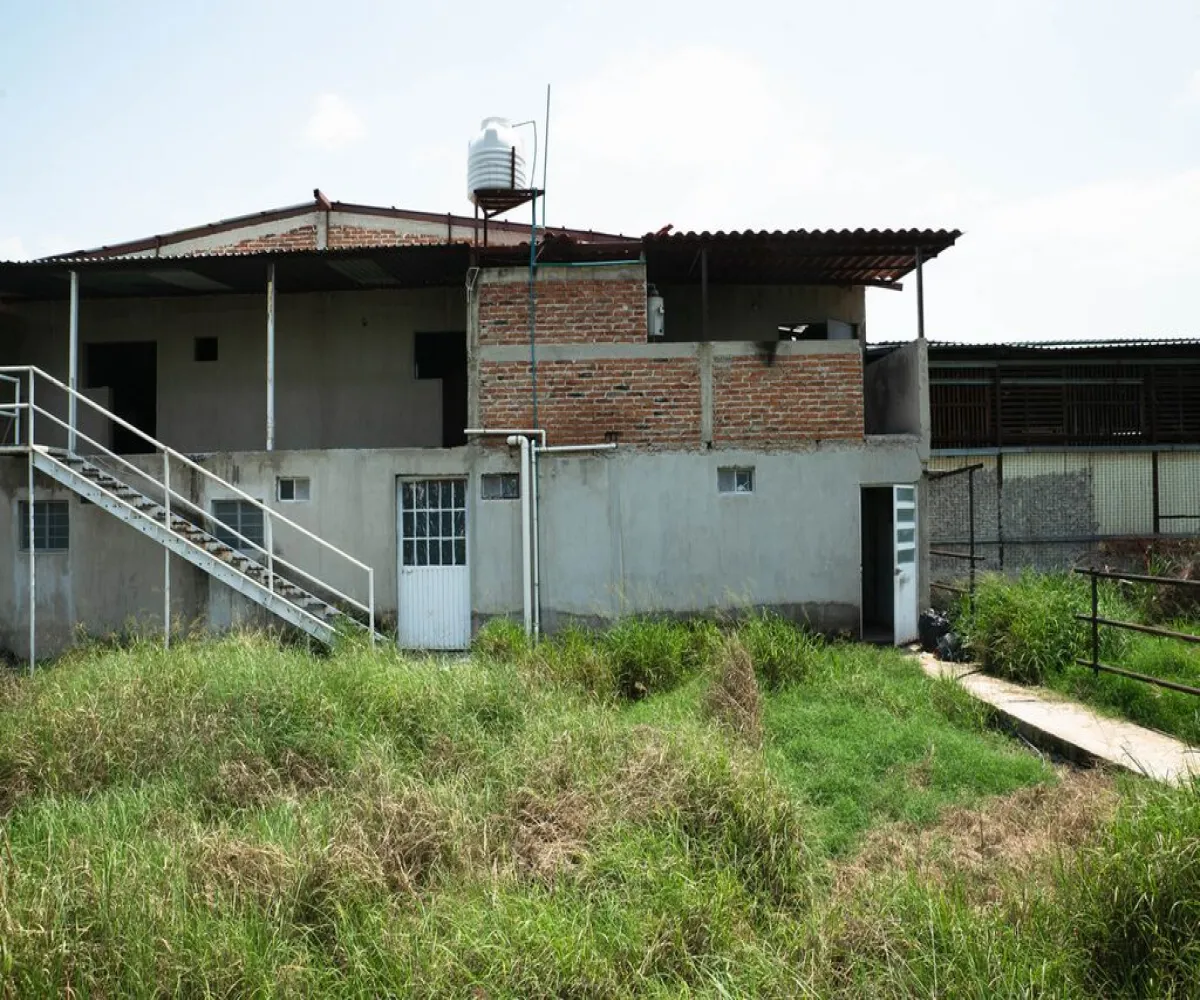 Bodega En Venta,Zacoalco de Torres Centro,Juárez S/N, Zacoalco de Torres, Jalisco 45753,3 Baños,Juárez,1,pjIt86A Bodega En Venta,Zacoalco de Torres Centro,Juárez S/N, Zacoalco de Torres, Jalisco 45753,3 Baños,Juárez,1,pjIt86A