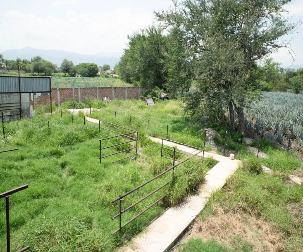 Bodega En Venta,Zacoalco de Torres Centro,Juárez S/N, Zacoalco de Torres, Jalisco 45753,3 Baños,Juárez,1,pjIt86A Bodega En Venta,Zacoalco de Torres Centro,Juárez S/N, Zacoalco de Torres, Jalisco 45753,3 Baños,Juárez,1,pjIt86A