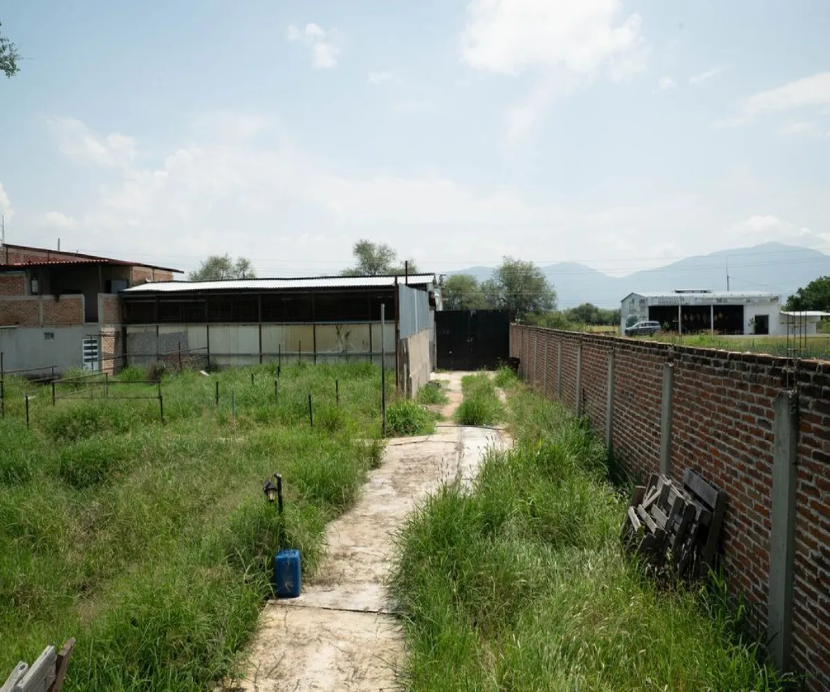Bodega En Venta,Zacoalco de Torres Centro,Juárez S/N, Zacoalco de Torres, Jalisco 45753,3 Baños,Juárez,1,pjIt86A Bodega En Venta,Zacoalco de Torres Centro,Juárez S/N, Zacoalco de Torres, Jalisco 45753,3 Baños,Juárez,1,pjIt86A