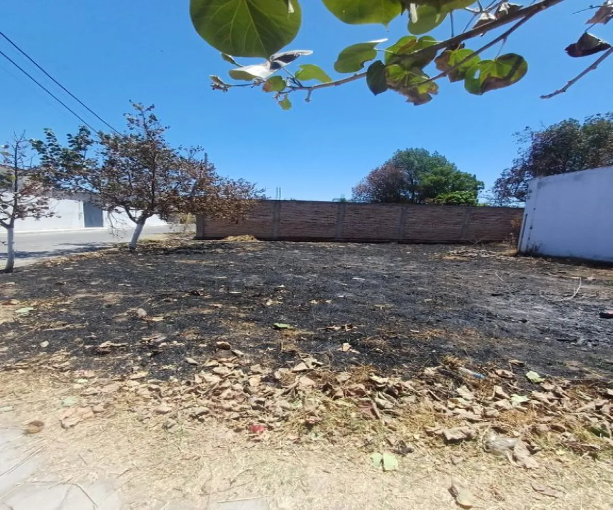 Terreno En Venta,San Francisco,San Isidro 25 C, Tala, Jalisco 45307,San Isidro,pbt50y7 Terreno En Venta,San Francisco,San Isidro 25 C, Tala, Jalisco 45307,San Isidro,pbt50y7