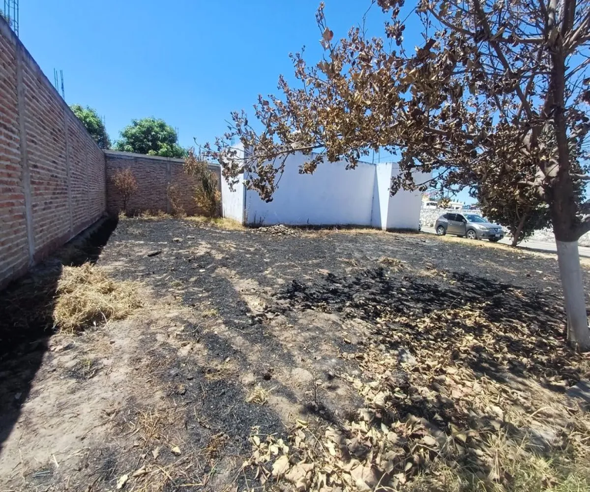 Terreno En Venta,San Francisco,San Isidro 25 C, Tala, Jalisco 45307,San Isidro,pbt50y7 Terreno En Venta,San Francisco,San Isidro 25 C, Tala, Jalisco 45307,San Isidro,pbt50y7