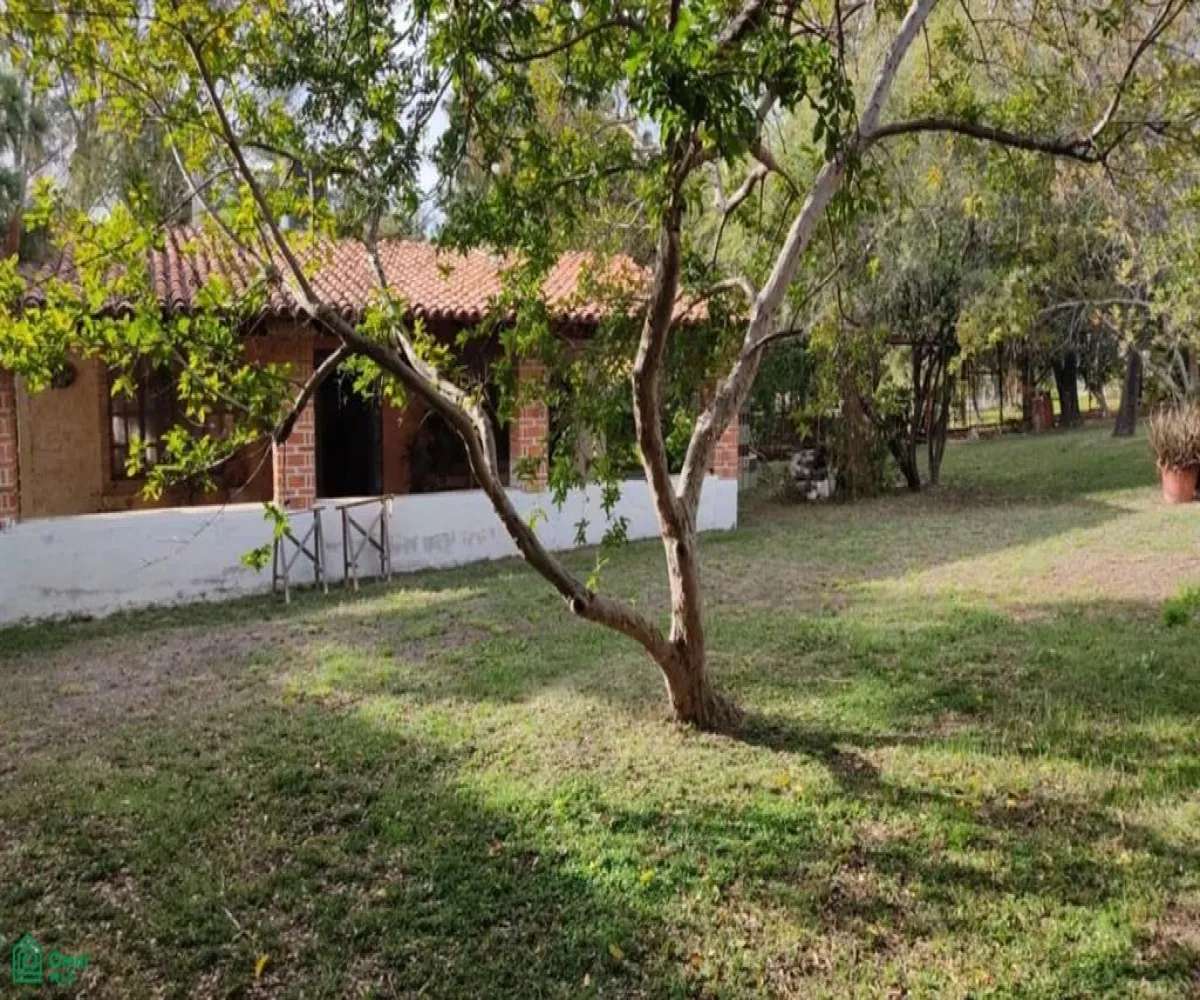 Casa En Venta,Huertas Productivas de Jalisco,Paseo de las Jacarandas 18, Tlajomulco de Zuniga, Jalisco 45650, 2 Habitaciones,3 Baños,Paseo de las Jacarandas,1,MX25567359 Casa En Venta,Huertas Productivas de Jalisco,Paseo de las Jacarandas 18, Tlajomulco de Zuniga, Jalisco 45650, 2 Habitaciones,3 Baños,Paseo de las Jacarandas,1,MX25567359
