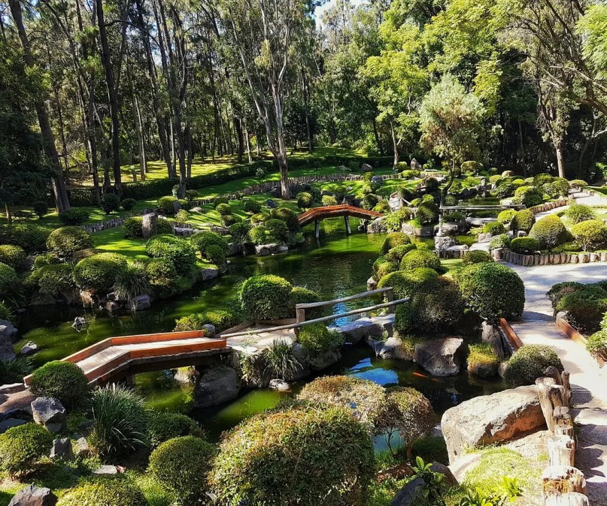 Colomos Providencia,Guadalajara, Jalisco 44660,1018 Colomos Providencia,Guadalajara, Jalisco 44660,1018