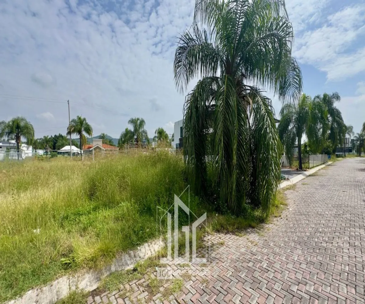 Terreno En Venta,Fraccionamiento Tres Reyes,Rey Baltazar S/N, Tlajomulco de Zúñiga, Jalisco 45670,Rey Baltazar,pfA0pkI Terreno En Venta,Fraccionamiento Tres Reyes,Rey Baltazar S/N, Tlajomulco de Zúñiga, Jalisco 45670,Rey Baltazar,pfA0pkI