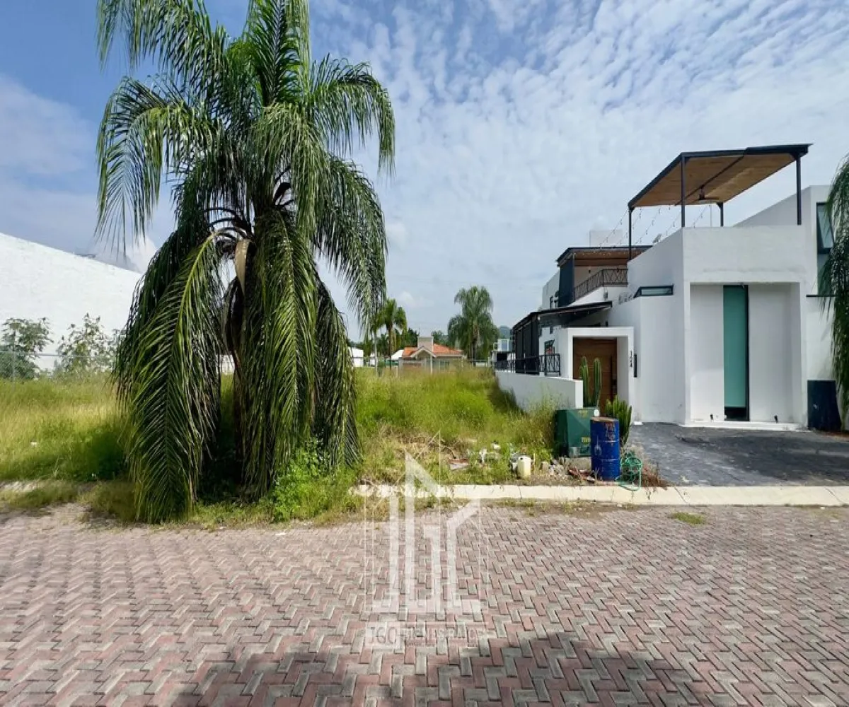 Terreno En Venta,Fraccionamiento Tres Reyes,Rey Baltazar S/N, Tlajomulco de Zúñiga, Jalisco 45670,Rey Baltazar,pfA0pkI Terreno En Venta,Fraccionamiento Tres Reyes,Rey Baltazar S/N, Tlajomulco de Zúñiga, Jalisco 45670,Rey Baltazar,pfA0pkI