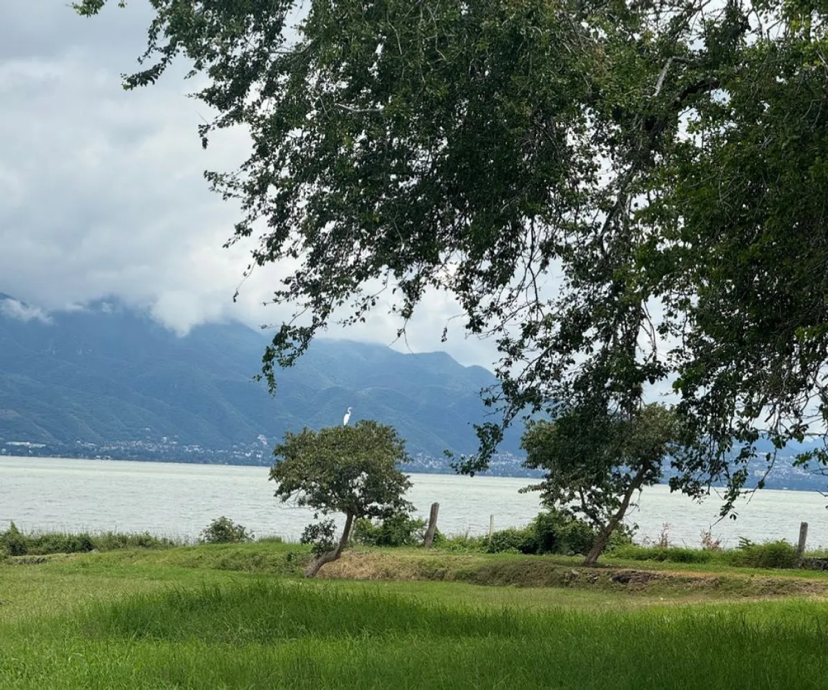 Terreno En Venta,Corona con Allende 00, Jocotepec, Jalisco 45800,Corona con Allende,pTkQ3B9 Terreno En Venta,Corona con Allende 00, Jocotepec, Jalisco 45800,Corona con Allende,pTkQ3B9
