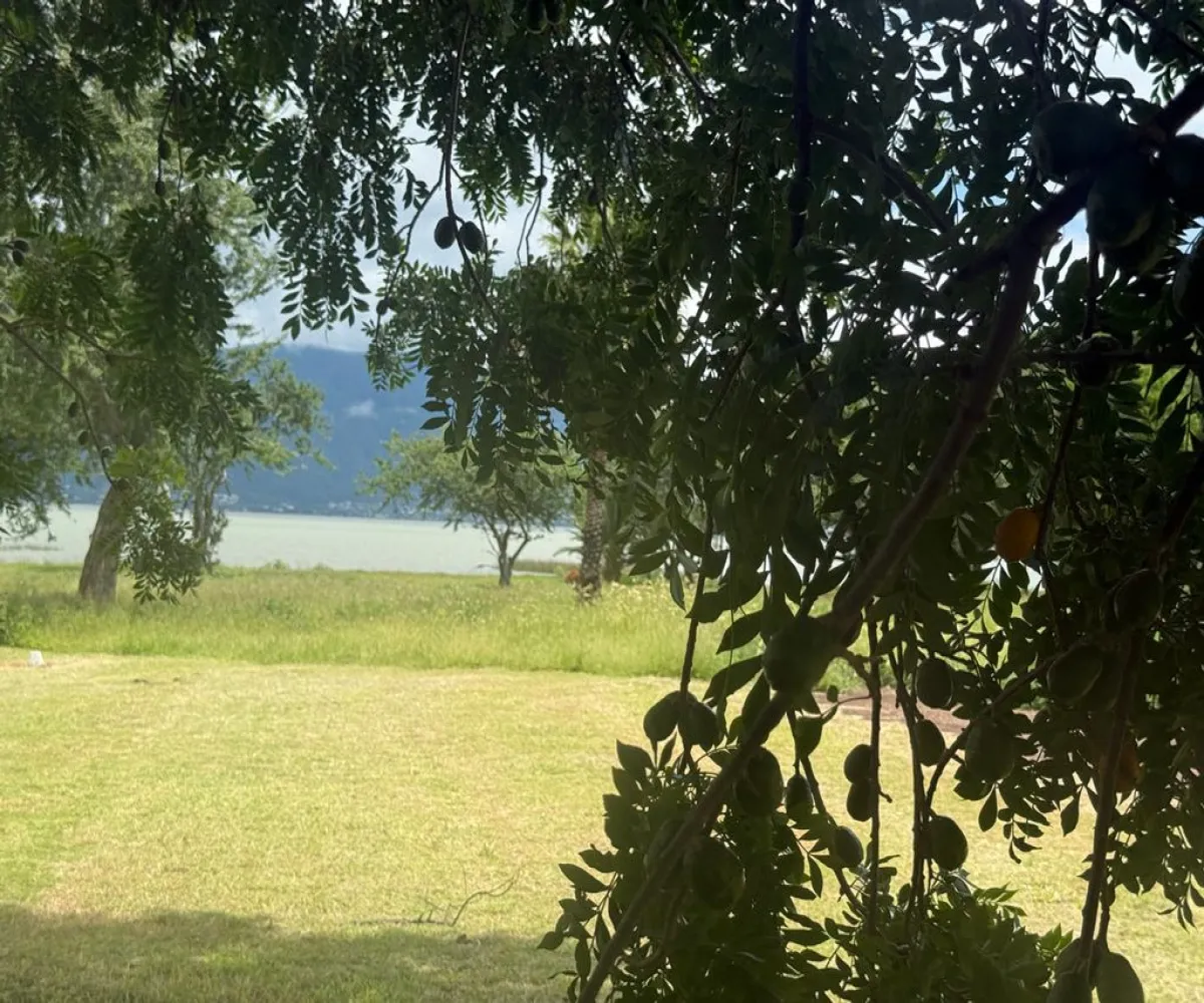 Terreno En Venta,Corona con Allende 00, Jocotepec, Jalisco 45800,Corona con Allende,pTkQ3B9 Terreno En Venta,Corona con Allende 00, Jocotepec, Jalisco 45800,Corona con Allende,pTkQ3B9
