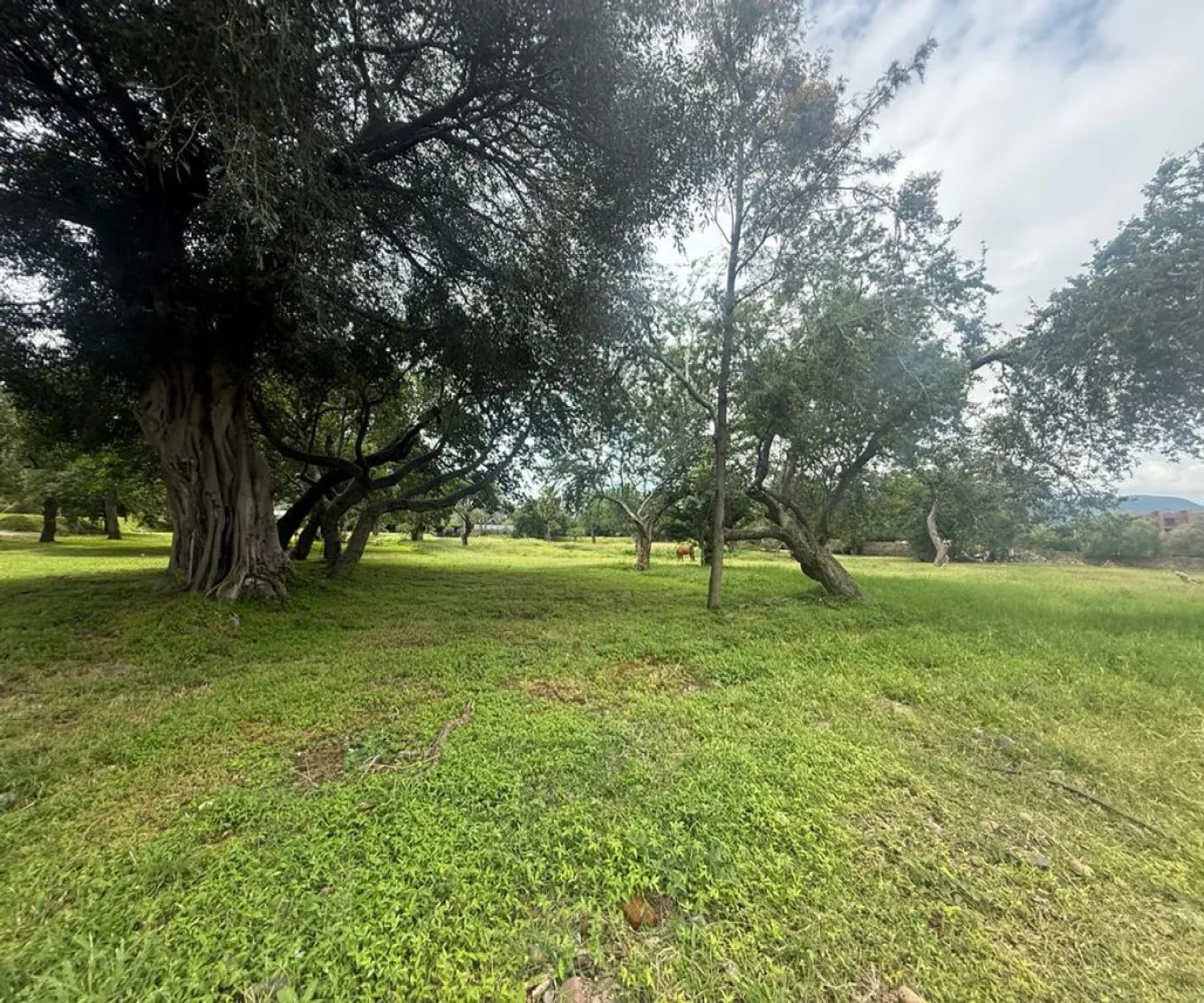 Terreno En Venta,Corona con Allende 00, Jocotepec, Jalisco 45800,Corona con Allende,pTkQ3B9 Terreno En Venta,Corona con Allende 00, Jocotepec, Jalisco 45800,Corona con Allende,pTkQ3B9