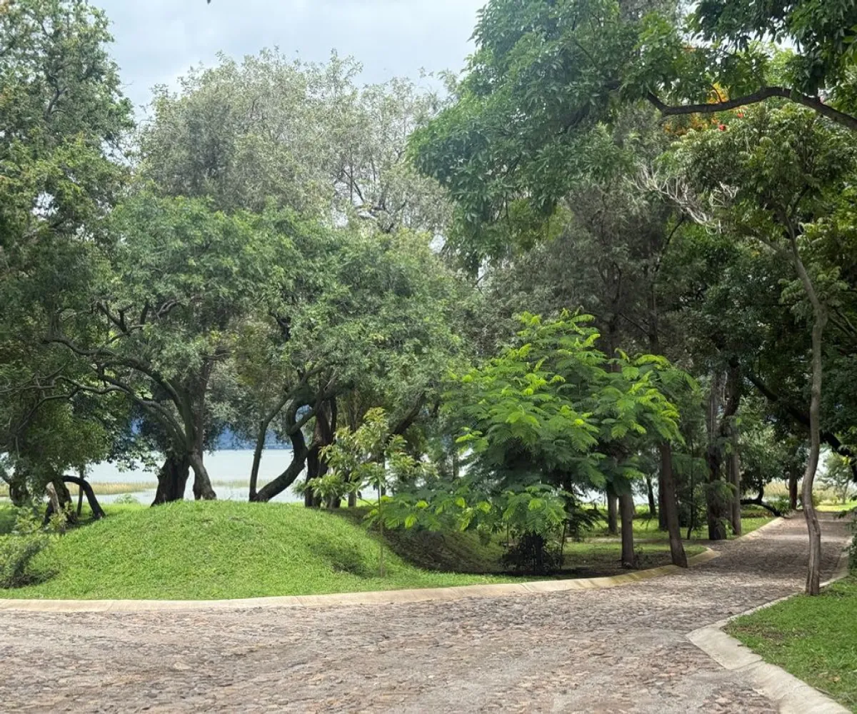 Terreno En Venta,Corona con Allende 00, Jocotepec, Jalisco 45800,Corona con Allende,pTkQ3B9 Terreno En Venta,Corona con Allende 00, Jocotepec, Jalisco 45800,Corona con Allende,pTkQ3B9