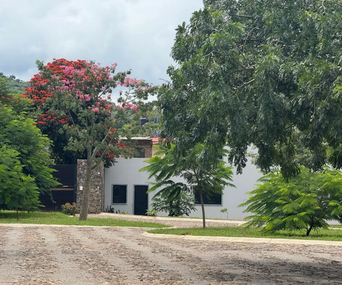 Terreno En Venta,Corona con Allende 00, Jocotepec, Jalisco 45800,Corona con Allende,pTkQ3B9 Terreno En Venta,Corona con Allende 00, Jocotepec, Jalisco 45800,Corona con Allende,pTkQ3B9