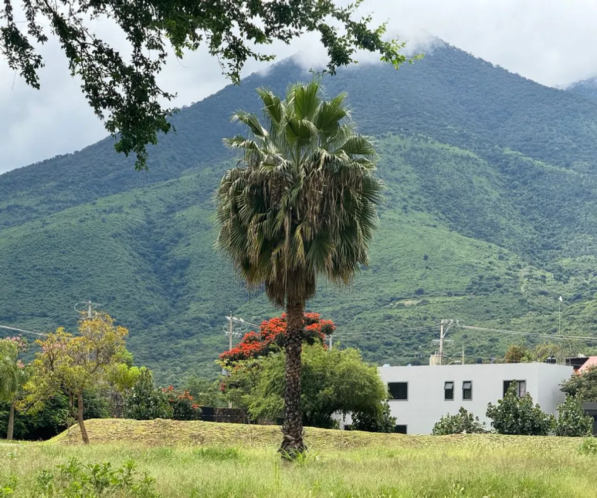 Terreno En Venta,Corona con Allende 00, Jocotepec, Jalisco 45800,Corona con Allende,pTkQ3B9 Terreno En Venta,Corona con Allende 00, Jocotepec, Jalisco 45800,Corona con Allende,pTkQ3B9