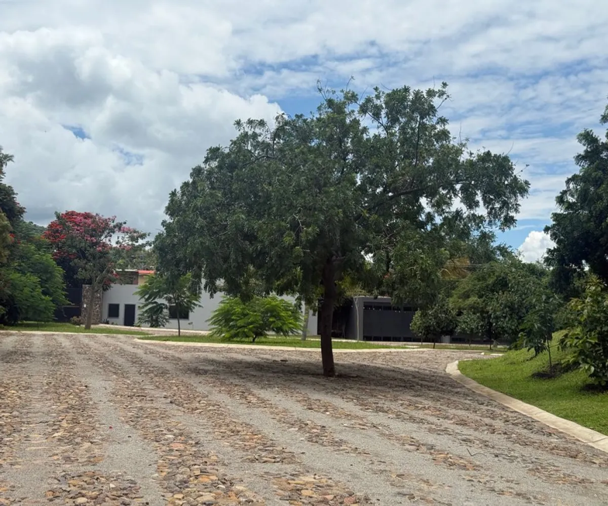 Terreno En Venta,Corona con Allende 00, Jocotepec, Jalisco 45800,Corona con Allende,pTkQ3B9 Terreno En Venta,Corona con Allende 00, Jocotepec, Jalisco 45800,Corona con Allende,pTkQ3B9